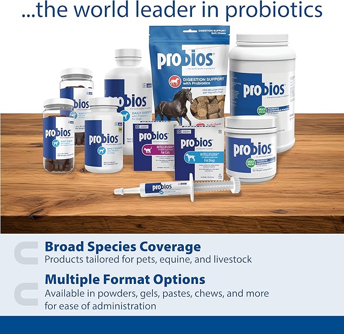Probios Digestive Support Probiotic for All Species, Probiotics for Gut Health, Dispersible Powder, 5 lbs
