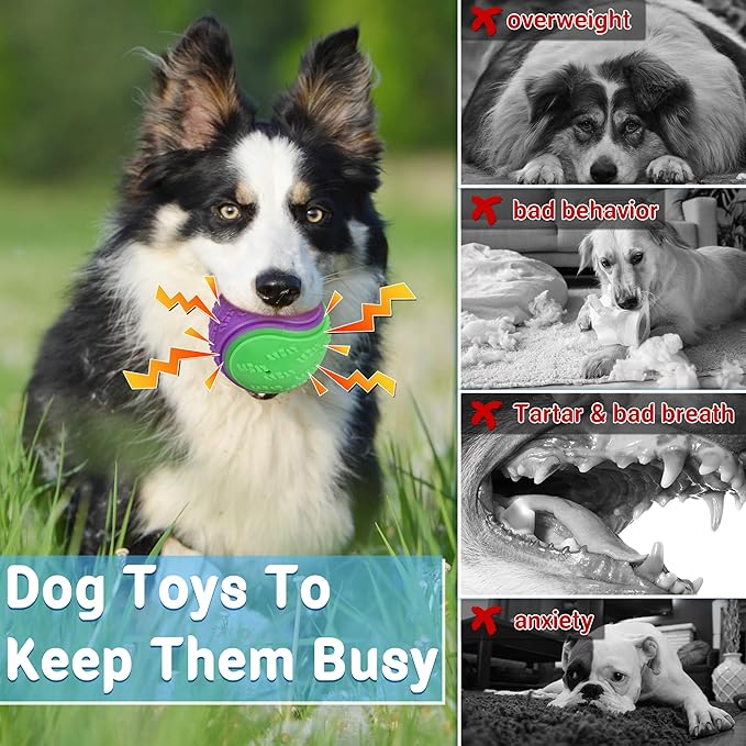 LECHONG 3.5in Squeaky Dog Balls Toys for Training, Dog Toys to Keep Them Busy, High Bouncy Balls for Interactive Playing, Great for Puppy Pet Teething and Chew 4Pcs
