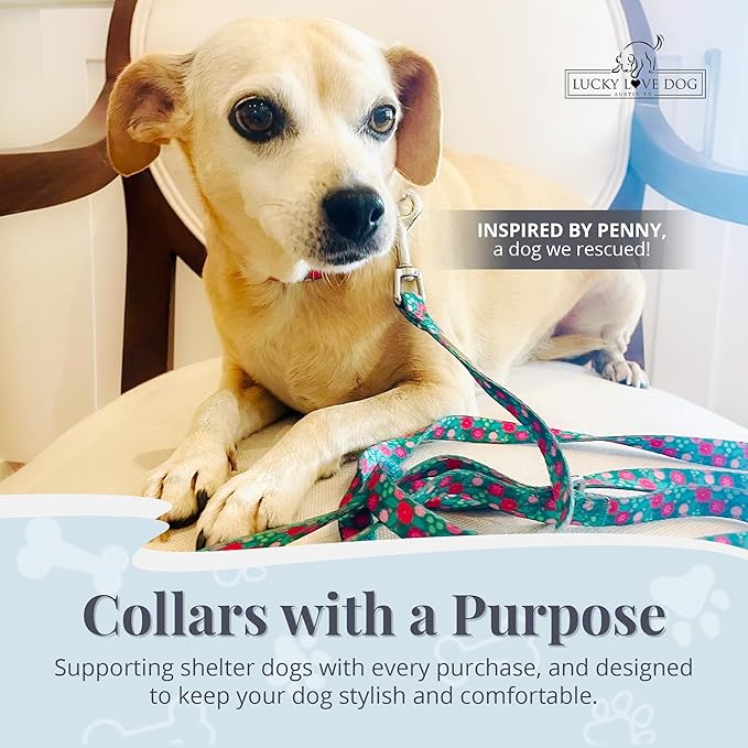 Lucky Love Dog - Adjustable Dog Collar with Easy Click Buckle for Medium Dogs, Durable, & Comfortable for Male & Female Dogs, Pet Collar for Puppies & Adult Ones - Penny, Medium