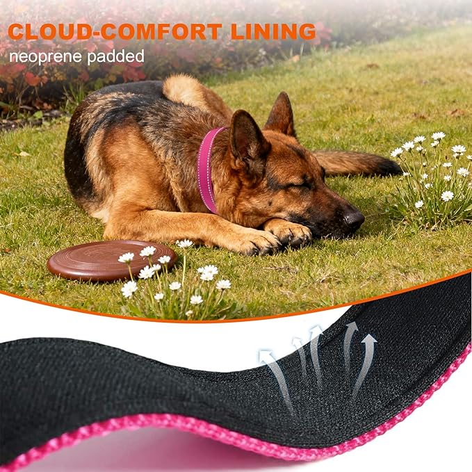 Taglory 16-24" Length, 1" Wide Dog Collar and Leash Set, 1/2" x 6 FT Highly Reflective Threads Dog Leash for Medium and Large Dogs,Hotpink