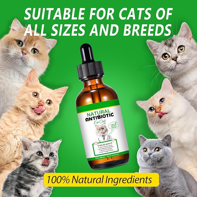 NenMaoKeNu 2 Pack Antibiotics for Cats, Premium Cat Antibiotics Supplement, Cats Multivitamin, Natural Antibiotic for Cats, Cat Antibiotic, Cat Antibiotics Supports Immune & Cats Allergy Relief