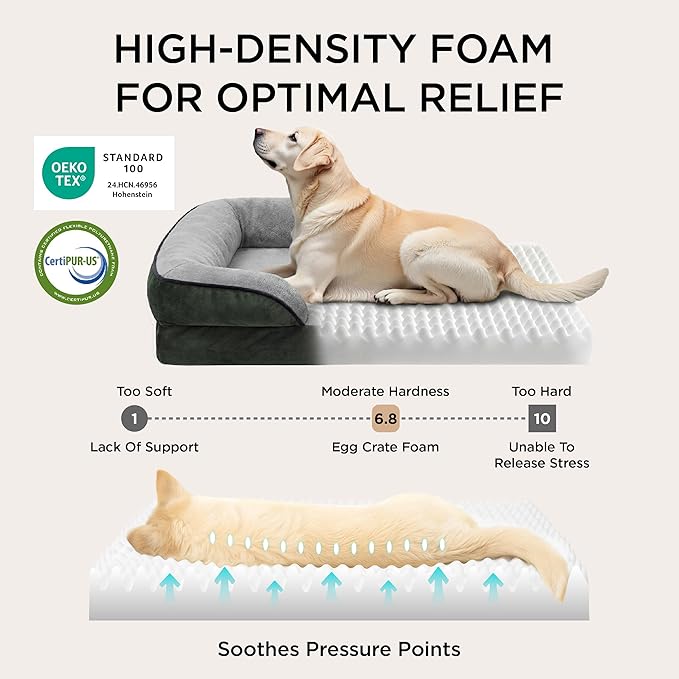 Bedsure XL Plus Orthopedic Dog Bed for Extra Large Dogs - Waterproof XLarge Dog Cat Bed, Comfort Dogs Couch Sofa with Washable Removable Cover, Pet Bed with Nonskid Bottom, Boreal Canopy Green, 48"