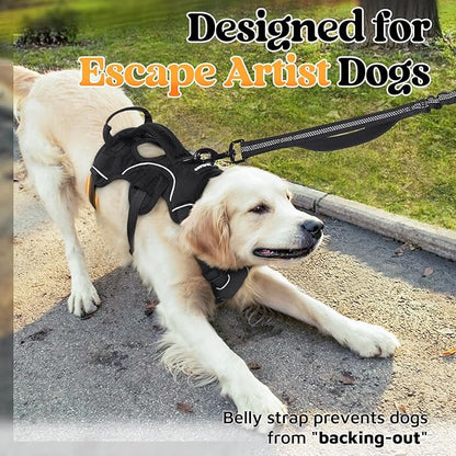 rabbitgoo Escape Proof Dog Harness with Large Handle