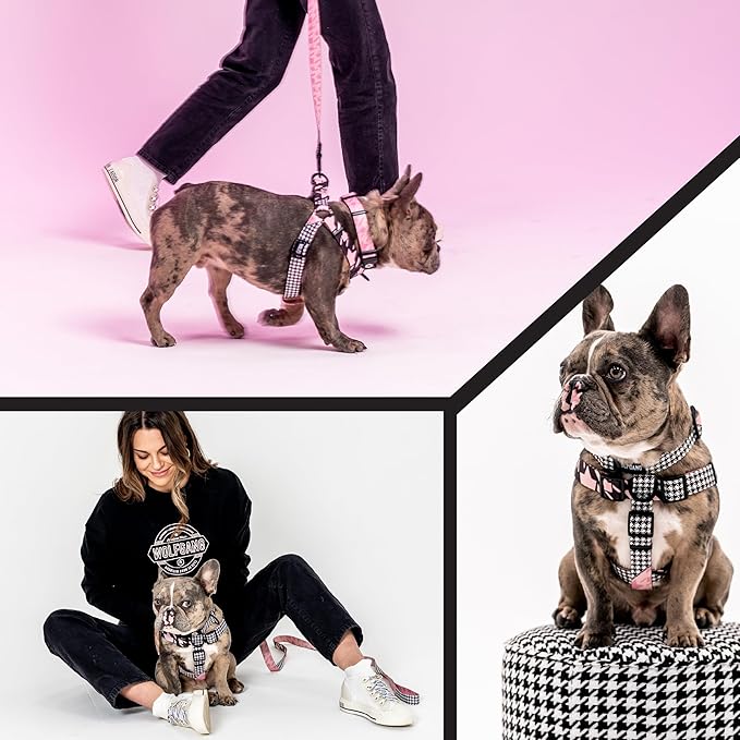 Wolfgang Heavy Duty Adjustable Dog Harness, Pull-Tested to Over 800 lbs for Walking & Training, HoundsPink Print, Large