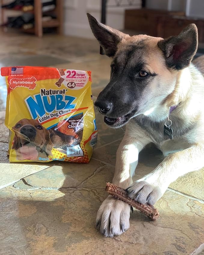 Nylabone Nubz Natural Dog Chew Treats for Large Dogs, Long Lasting Dog Bones Made in USA, Chicken Flavor Breath Freshener Dental Chews, For Dogs Over 30 lbs. (18 Count)