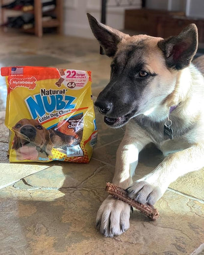 Nylabone Nubz Natural Dog Chew Treats for Large Dogs, Long Lasting Dog Bones Made in USA, Chicken Flavor Breath Freshener Dental Chews, For Dogs Over 30 lbs. (18 Count)