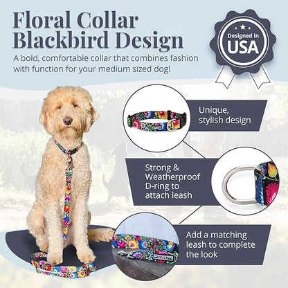 Lucky Love Dog - Adjustable Dog Collar with Easy Click Buckle for Medium, Durable, & Comfortable for Male & Female Dogs, Pet Collar for Puppies & Adult Dogs - Blackbird, Medium