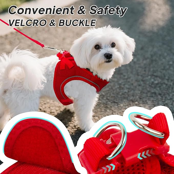 PetiFine Step in Small Dog Harness and Leash Set, Breathable All Weather Air Mesh Reflective Escape Proof, Step-in Vest Harnesses for Puppy(S, Red)