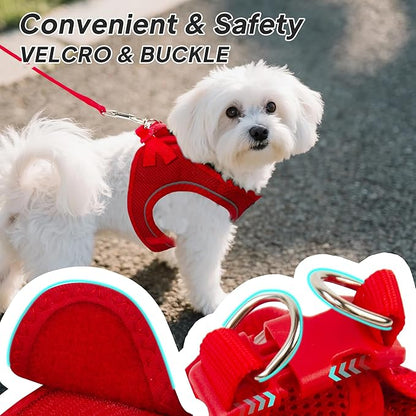 PetiFine Step in Small Dog Harness and Leash Set, Breathable All Weather Air Mesh Reflective Escape Proof, Step-in Vest Harnesses for Puppy(S, Red)