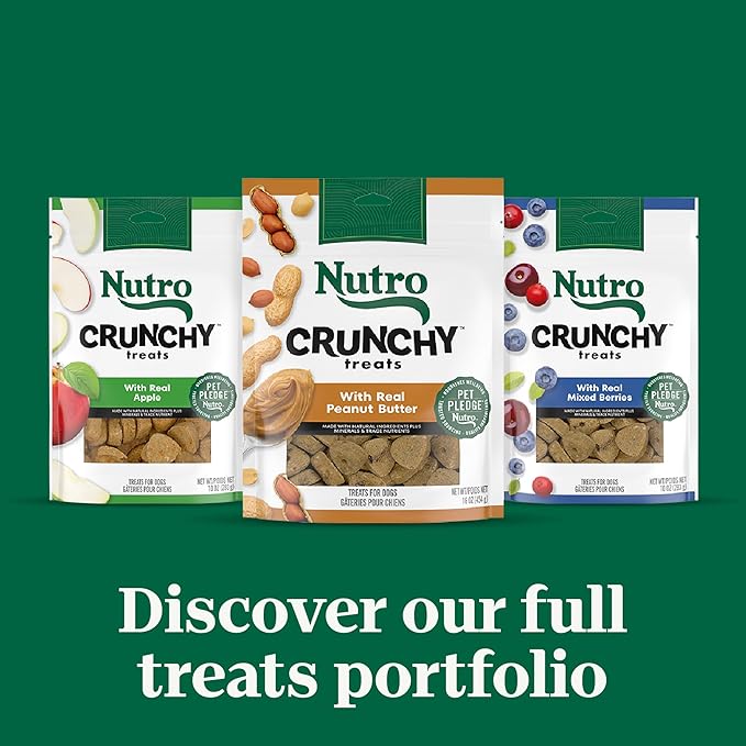 Nutro Crunchy Dog Treats with Real Apple, Training Treats for Dogs, 16 oz. Bag