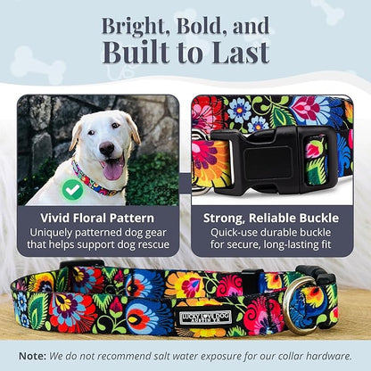 Lucky Love Dog - Adjustable Dog Collar with Easy Click Buckle for Small Ones, Durable, & Comfortable for Male & Female Dogs, Pet Collar for Puppies & Adult Dogs - Blackbird, X-Small