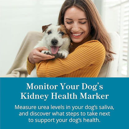 Petivity At-Home Kidney Health Test Kit for Dogs — Quick Saliva Urea Test (2-Minute Home Check), Powered by Purina — Help Detect Early Kidney Changes - (Pack of 1)
