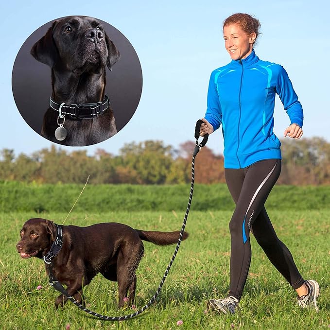 Ladoogo Reflective Dog Collar Padded with Soft Neoprene Breathable Adjustable Nylon Dog Collars for Small Medium Large Dogs (X-Small (Pack of 1), Black Collar+Leash)