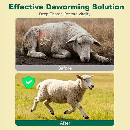 Dewormer for Goat, Sheep, Poultry & More - Liquid Fenbendazole Dewormer for All Wormers, Tapeworms, Roundworms, Hookworms & More, 100ml