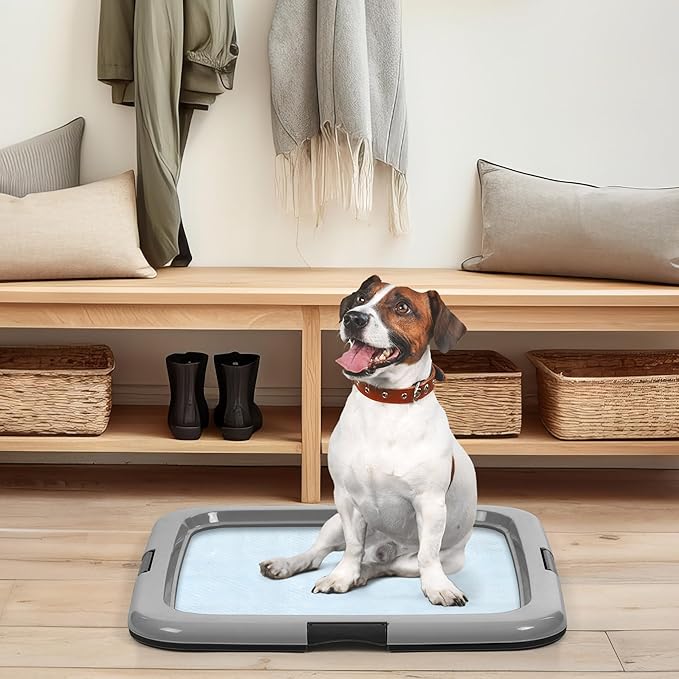 IRIS USA Pee Pad Holder for Dogs and Puppies, Potty Training Tray with Secured Latches, Non-Skid Feet, Leak Protection, Easy Clean Surface, Fits 22"x 22" Puppy Pads Size or Larger, Black/Gray