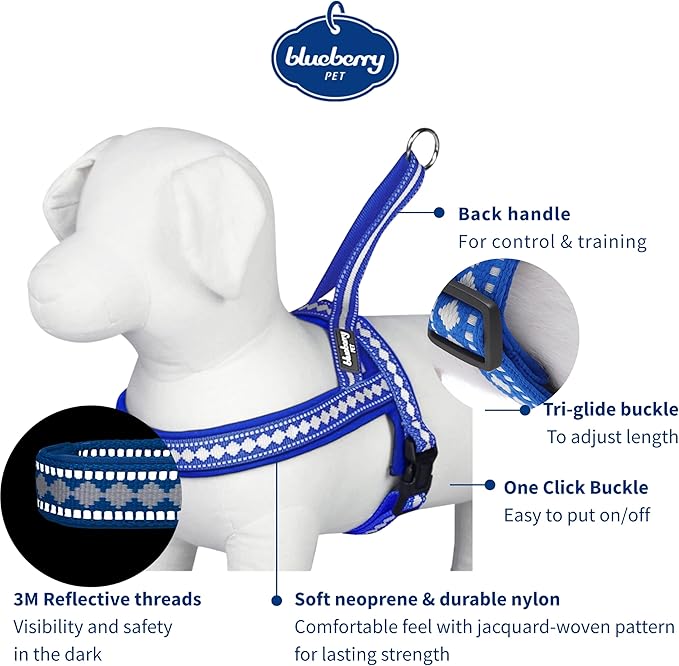 Blueberry Pet 4 Colors Soft & Comfy 3M Reflective Jacquard Padded Dog Harness, Chest Girth 21.5" - 27.5", Palace Blue, S/M, Adjustable Harnesses for Dogs