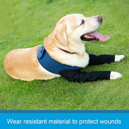 Coodeo Dog Recovery Sleeves, Cone Collar Alternative, Abrasion Resistant Dog Recovery Suit, Washable 2.5mm Thick and Waterproof, Pet Wounds Prevent Licking, Biting (Blue, S)