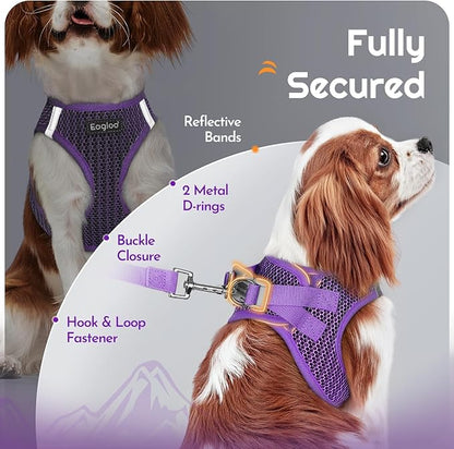 Eagloo Small Dog Harness and Leash Set, Step in Puppy Vest with Breathable Soft Mesh, Walking Reflective Pet Harness for Small Dogs, Purple, L