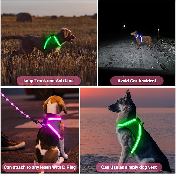 ChalkLit Light Up Dog Harness, No Pull Led Dog Harness Glow-in-The-Dark for Night Walking, USB Rechargeable Lighted Safety Vest for Medium Large Dogs, Adjustable Soft Mesh Fully Illuminated(Pink, XL)