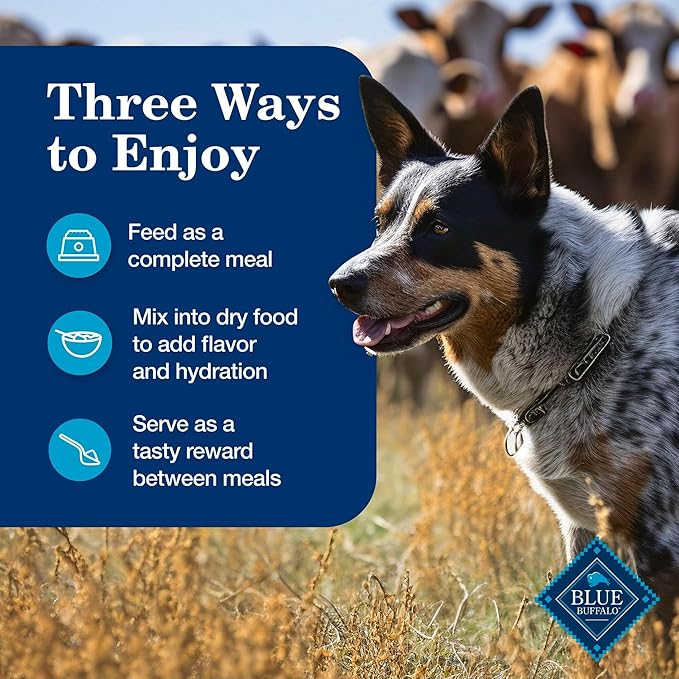 Blue Buffalo Homestyle Recipe Chicken and Turkey Wet Dog Food for Adult Dogs, 12.5 oz. Cans, 6 Count Variety Pack