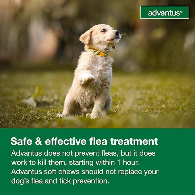 Advantus Dog Fast Acting Oral Flea Treatment Soft Chewable 4 - 22 lbs. | 7 ct.