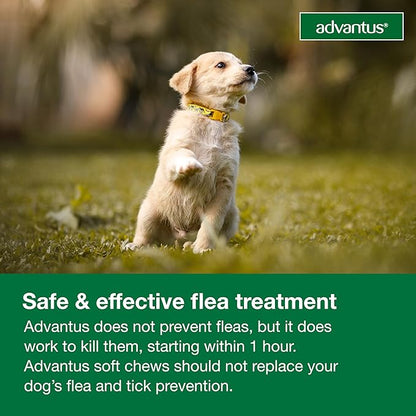 Advantus Dog Fast Acting Oral Flea Treatment Soft Chewable 4 - 22 lbs. | 30 ct.