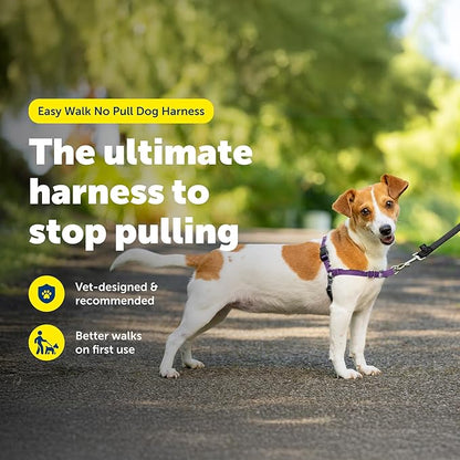 PetSafe Easy Walk Harness for Dogs - Pull-Free Walks - Patented Martingale Loop Design - Front Chest Leash Attachment - Comfort Straps - Breathable Harness Design - Small, Deep Purple/Black