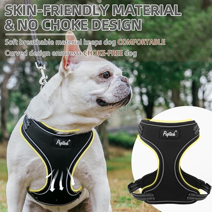 PUPTECK Dog Harness and Leash Set Medium Sized, Adjustable Reflective Escape Proof Puppy Vest, No Pull Walking Harness Easy Control