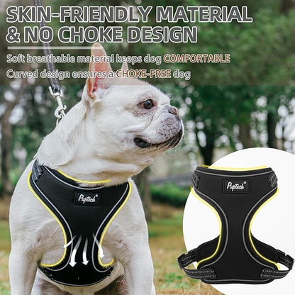 PUPTECK Dog Harness and Leash Set Small Sized, Adjustable Reflective Escape Proof Puppy Vest, No Pull Walking Harness Easy Control
