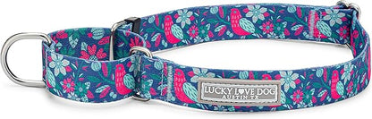 Lucky Love Dog Martingale Dog Collar - Adjustable, No-Slip, Comfortable, Durable, Soft Webbing & Stylish Patterned Collar for Male and Female Dogs Ideal for Training & Walking - Carriebelle, Medium