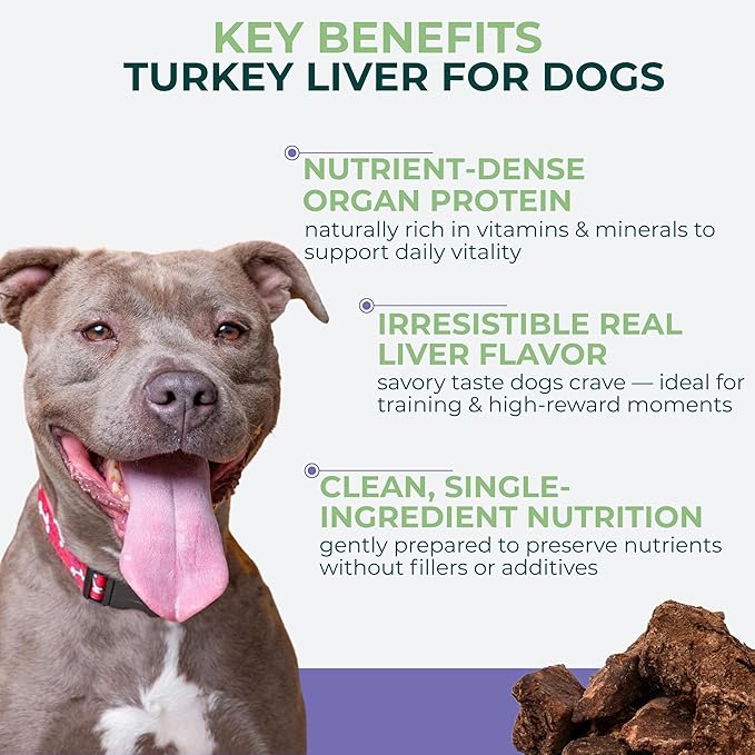 Momentum Carnivore Nutrition Freeze-Dried Turkey Liver Dog Treats & Cat Treats – Single-Ingredient, High-Protein, Grain-Free, Naturally Flavorful & Lean – Made in USA – 3.5 oz Bag