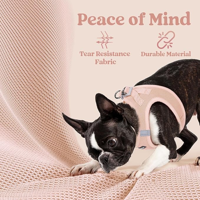 rabbitgoo Small Dog Harness, Step-in Soft Mesh Puppy Vest with Safety Buckle, Breathable Reflective Pet Harness for Small Medium Dogs, Pink XL