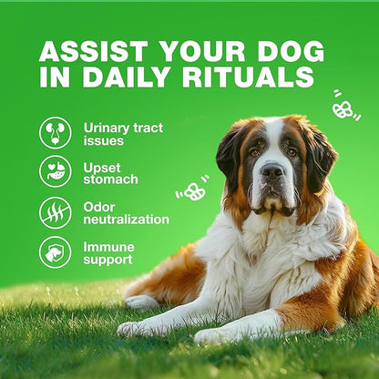 Grass Burn Spot Chews for Dogs - Urine Neutralizer for Lawn - Pee Lawn Spot Saver Caused by Urine - Probiotics, Enzymes & Multivitamins - Grass Saver Soft Treats for Canine Digestive and UTI Support