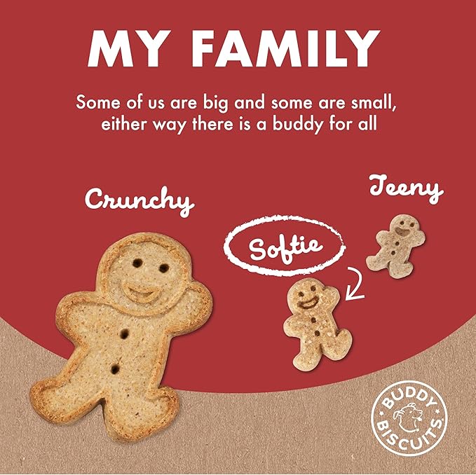 Buddy Biscuit Softies 5 oz Pouch, Grain-Free Soft & Chewy, Natural Grilled Beef Flavor Dog Treats, Oven Baked in the USA