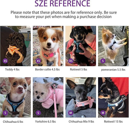 Dog Harness for Small Dogs and Leash Set, Honeycomb Grid, Reflective Lightweight Harness & Anti-Twist Pet Lead (Multi Color, Size: XS-S-M) (XS, Purple)