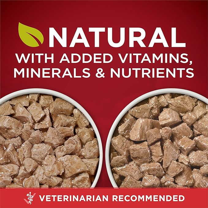 Purina ONE True Instinct Tender Cuts in Gravy with Real Turkey and Venison & with Real Chicken and Duck High Protein Wet Dog Food Variety Pack - 13 oz. Cans,(Pack of 24)