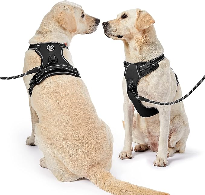 NESTROAD No Pull Dog Harness,Adjustable Oxford Dog Vest Harness with Leash,Reflective No-Choke Pet Harness with Easy Control Soft Handle for Small Dogs(X-Small,Black)