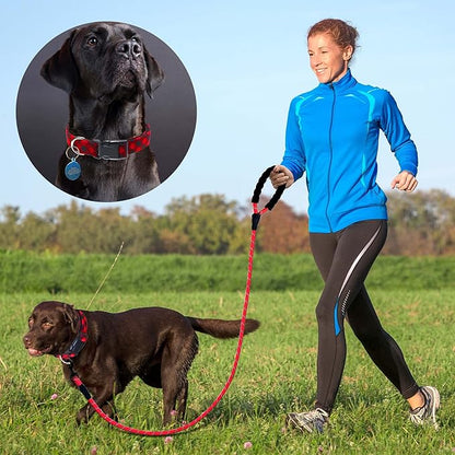 Ladoogo Reflective Dog Collar Padded with Soft Neoprene Breathable Adjustable Nylon Dog Collars for Small Medium Large Dogs (X-Small (Pack of 1), Red Plaid Collar+Leash)