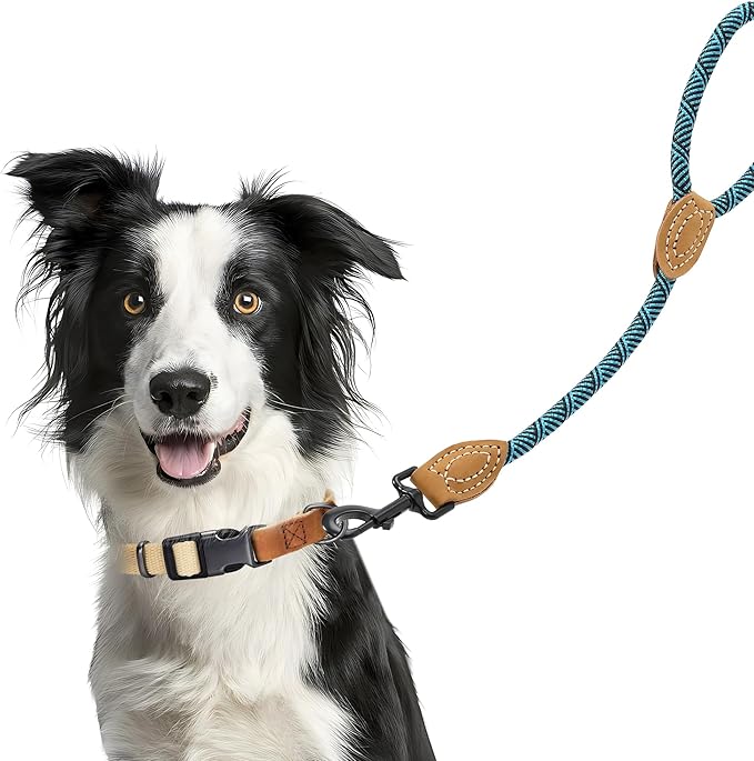Mile High Life Short Leash for Large Dogs, Short Dog Rope Leash with Heavy Duty Metal Sturdy Clasp, Genuine Leather Tailored Connection(Green, 18 Inch)
