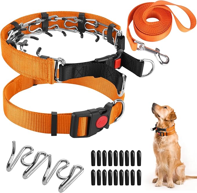 Prong Training Collar With Nylon Cover Comfort Tips, Quick Release Snap Buckle, Classic Collar and Leash