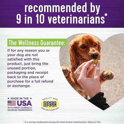 Wellness Pumpkin Patch Flavored Soft Chew Digestive Health Supplements for Dogs, 45 Count