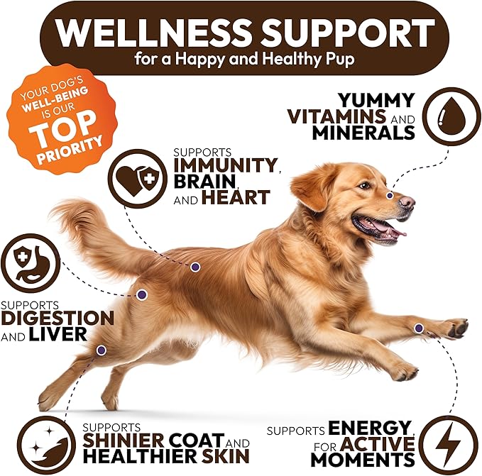 Turkey Tail Mushroom for Dogs - 170 Chews - Lion’s Mane - Shiitake - Reishi - Buddy Immune Support Guard - Mushroom Supplement for Dogs Lumps and Bumps Glucosamine, Health Vitamins Multivitamin