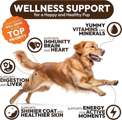 Turkey Tail Mushroom for Dogs - 170 Chews - Lion’s Mane - Shiitake - Reishi - Buddy Immune Support Guard - Mushroom Supplement for Dogs Lumps and Bumps Glucosamine, Health Vitamins Multivitamin