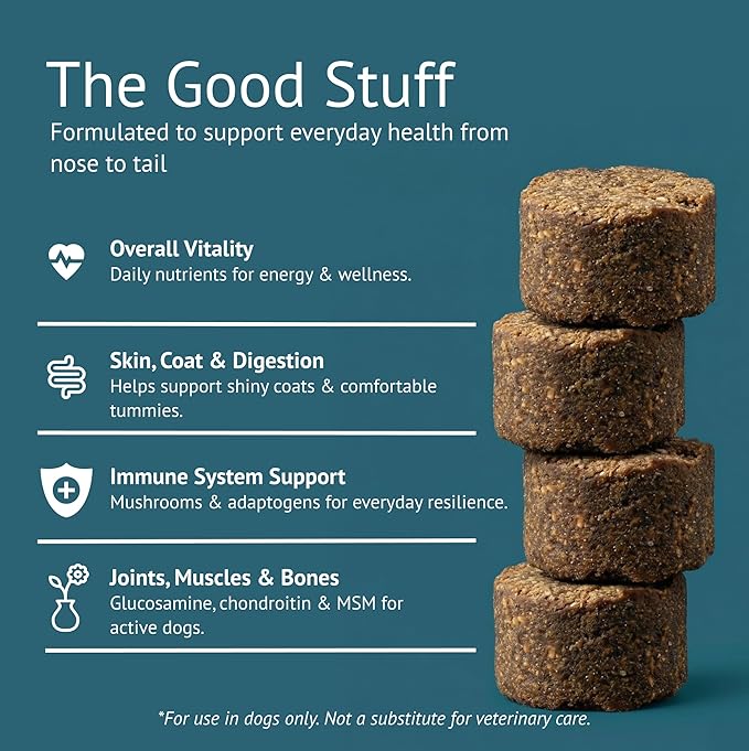 Multi Dog Chews – Comprehensive Health Supplement with Glucosamine, Probiotics, Salmon Oil, Ashwagandha & Mushrooms – Daily Well-Being, Skin & Coat, Digestion and Vitality Support