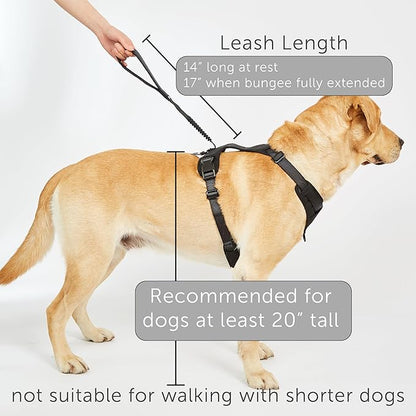 TUG Grab Dog Harness | Integrated Traffic Leash Magnetically Attached for Quick Control (Medium/Black)