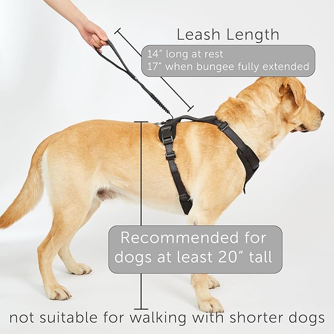 TUG Grab Dog Harness | Integrated Traffic Leash Magnetically Attached for Quick Control (XL/Green)