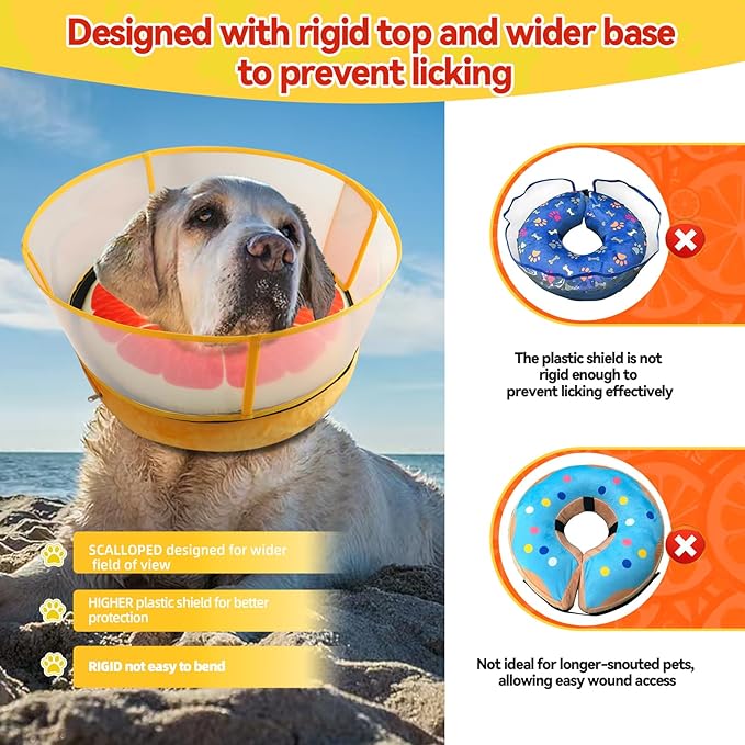 Upgraded Inflatable Dog Cone Collar with Transparent Anti-Licking Shield, Adjustable Elizabethan Collar for Medium Large Dogs, 2-in-1 Design with Detachable Shield and Soft Padding (XL, Grapefruit)