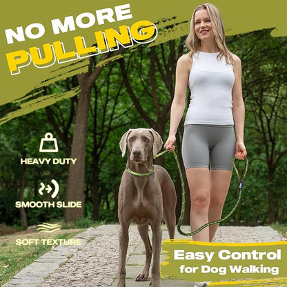 Fida Durable Slip Lead Dog Leash, 6 FT x 3/8" Heavy Duty Dog Loop Leash, Comfortable Strong Rope Slip Leash for Small Dogs and Puppies, No Pull Pet Training Leash with Highly Reflective(3/8", Green)