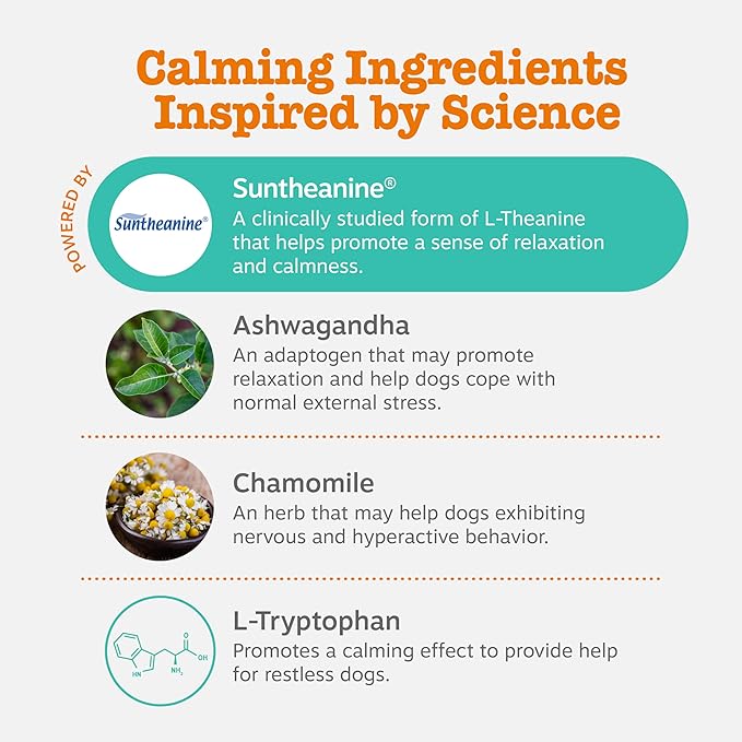 Zesty Paws Calming Chews for Dogs Composure & Relaxation for Everyday Stress & Separation Peanut Butter 90 Count