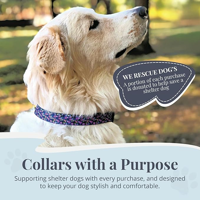 Lucky Love Dog, Comfortable, Soft, Cute Female Dog Collar for Tiny Dogs, Black & Purple Floral Print, Adjustable Nylon Collar, Primrose, X-Small